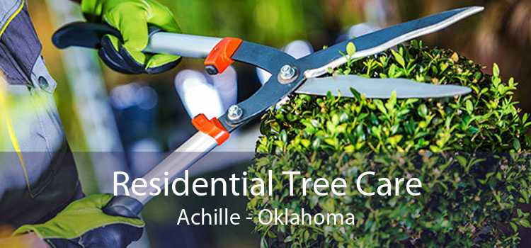 Residential Tree Care Achille - Oklahoma