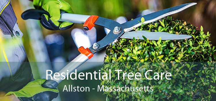 Residential Tree Care Allston - Massachusetts