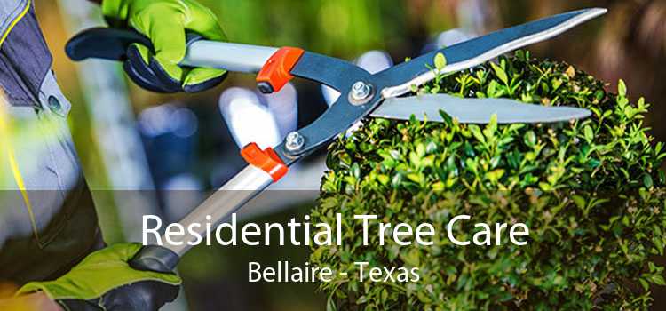 Residential Tree Care Bellaire - Texas