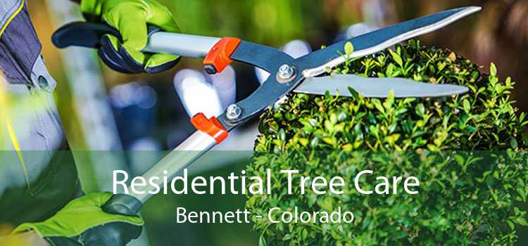 Residential Tree Care Bennett - Colorado