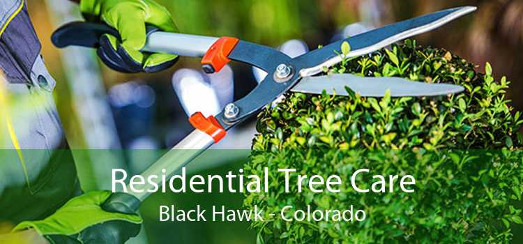 Residential Tree Care Black Hawk - Colorado