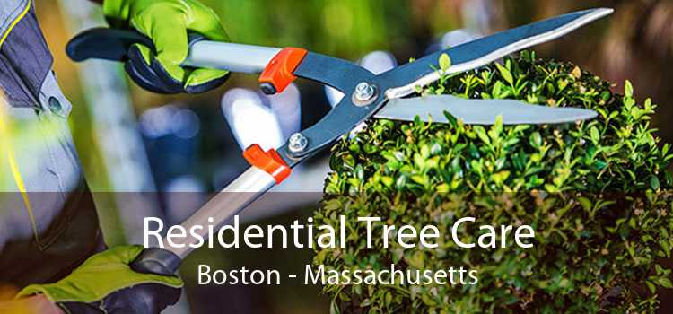 Residential Tree Care Boston - Massachusetts