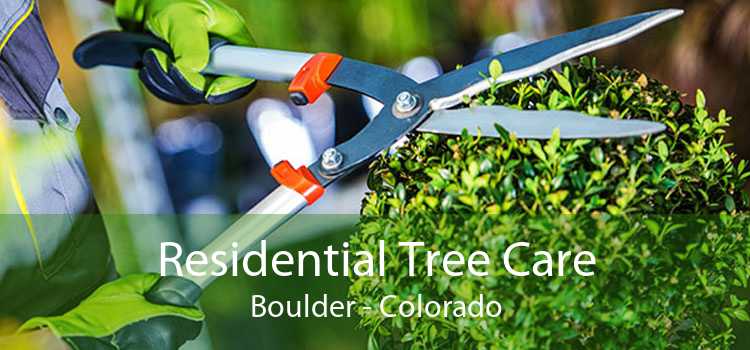 Residential Tree Care Boulder - Colorado