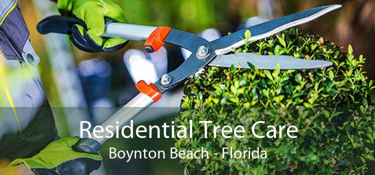 Residential Tree Care Boynton Beach - Florida