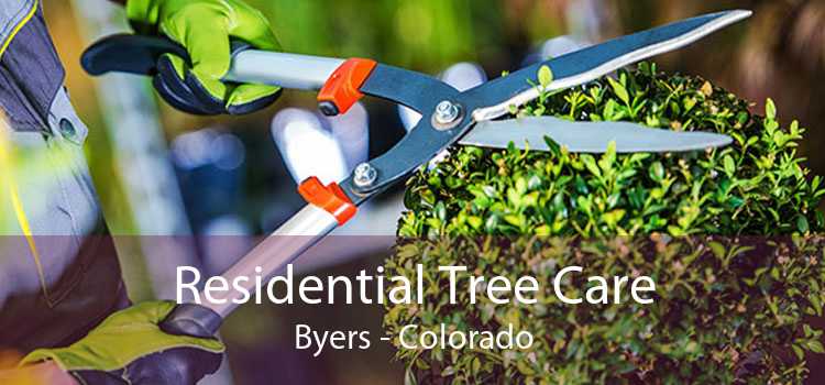 Residential Tree Care Byers - Colorado