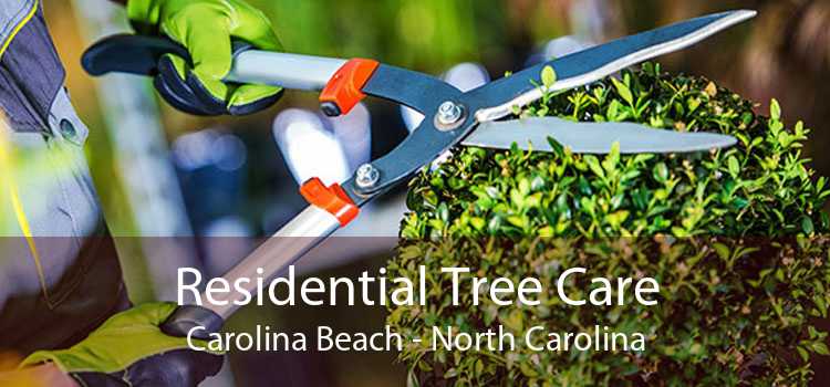 Residential Tree Care Carolina Beach - North Carolina