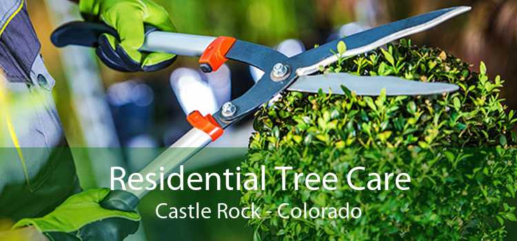 Residential Tree Care Castle Rock - Colorado