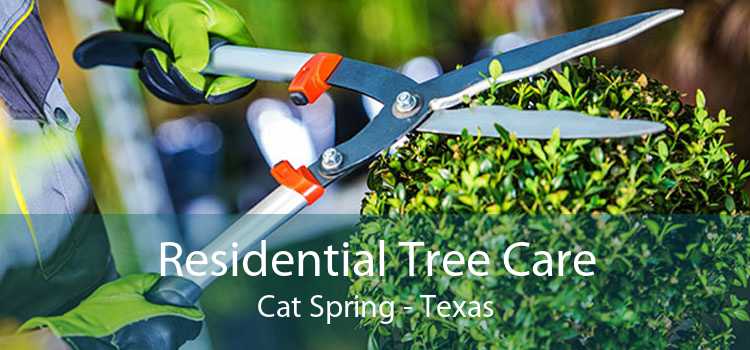 Residential Tree Care Cat Spring - Texas