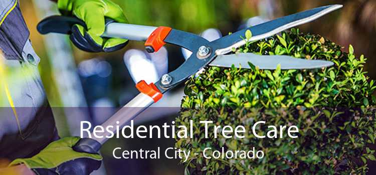 Residential Tree Care Central City - Colorado