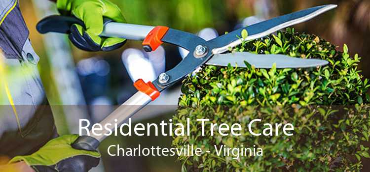 Residential Tree Care Charlottesville - Virginia