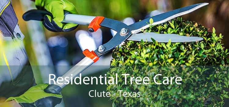 Residential Tree Care Clute - Texas