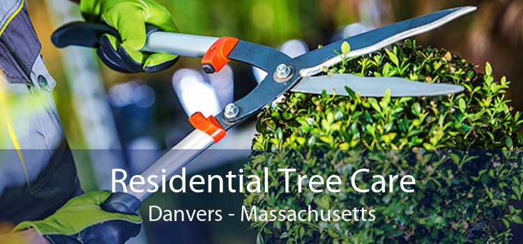 Residential Tree Care Danvers - Massachusetts