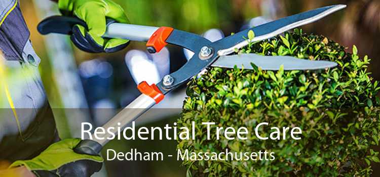 Residential Tree Care Dedham - Massachusetts