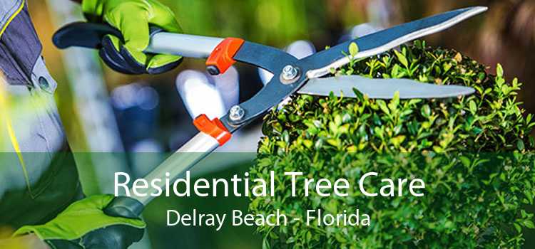 Residential Tree Care Delray Beach - Florida