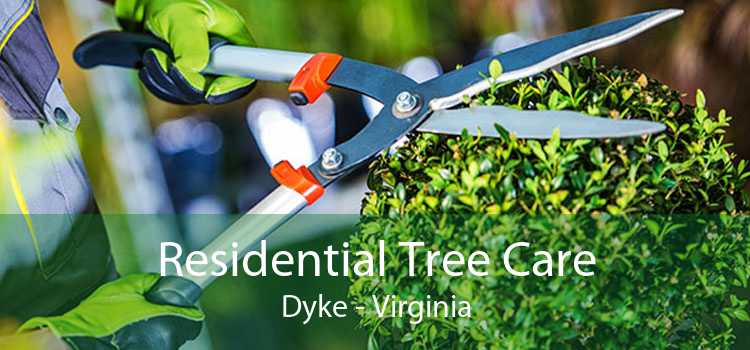 Residential Tree Care Dyke - Virginia