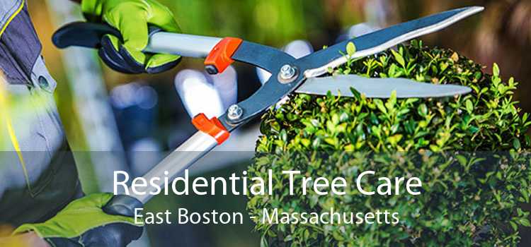 Residential Tree Care East Boston - Massachusetts