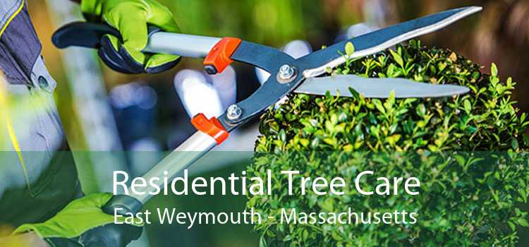 Residential Tree Care East Weymouth - Massachusetts