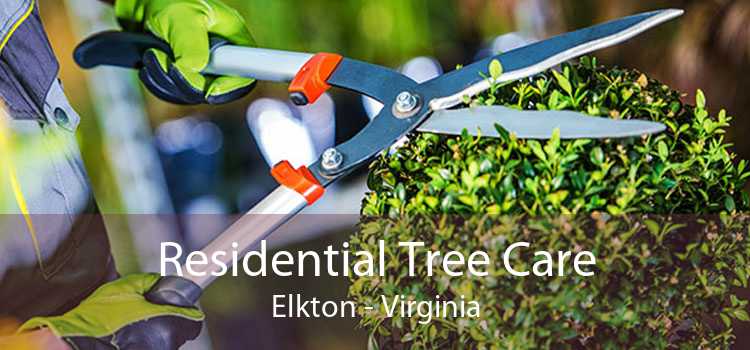 Residential Tree Care Elkton - Virginia