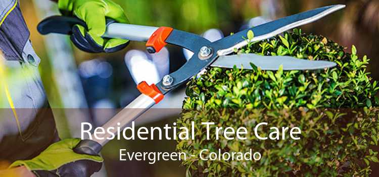 Residential Tree Care Evergreen - Colorado