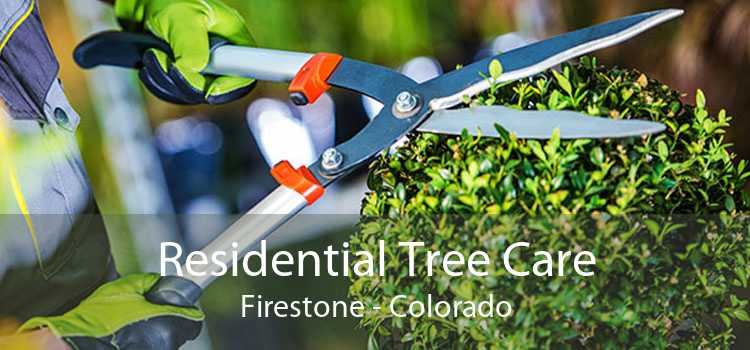 Residential Tree Care Firestone - Colorado