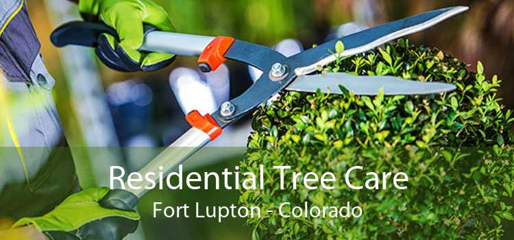 Residential Tree Care Fort Lupton - Colorado