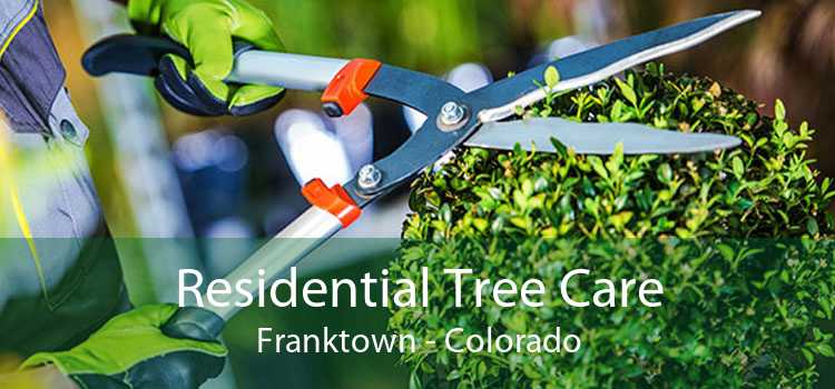 Residential Tree Care Franktown - Colorado