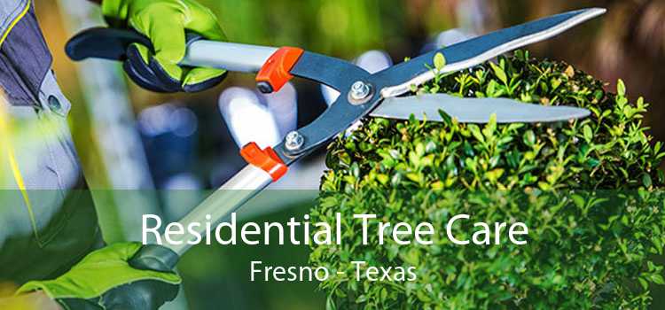 Residential Tree Care Fresno - Texas