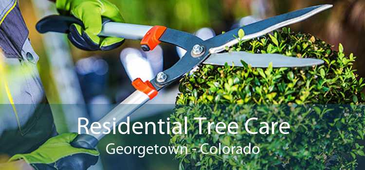 Residential Tree Care Georgetown - Colorado
