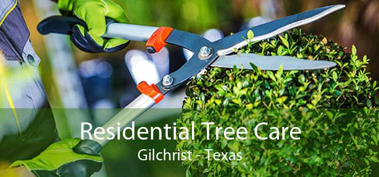 Residential Tree Care Gilchrist - Texas