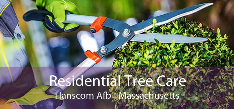 Residential Tree Care Hanscom Afb - Massachusetts