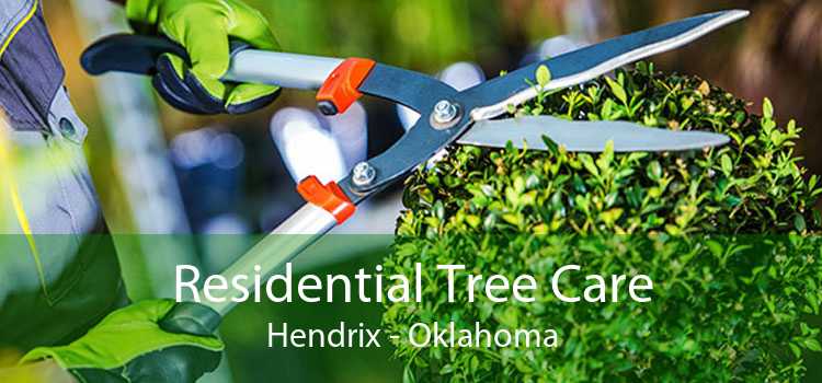 Residential Tree Care Hendrix - Oklahoma