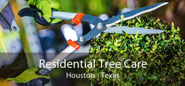 Residential Tree Care Houston - Texas