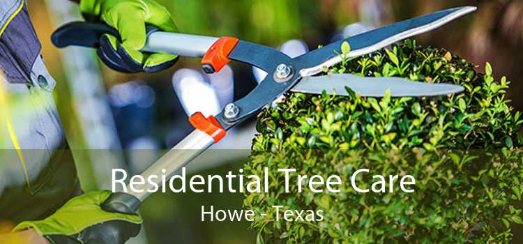 Residential Tree Care Howe - Texas