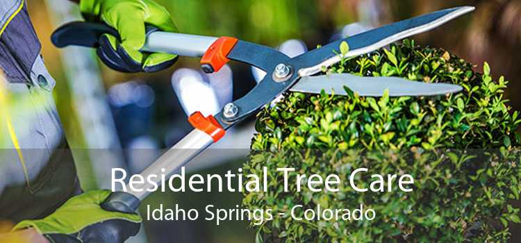 Residential Tree Care Idaho Springs - Colorado