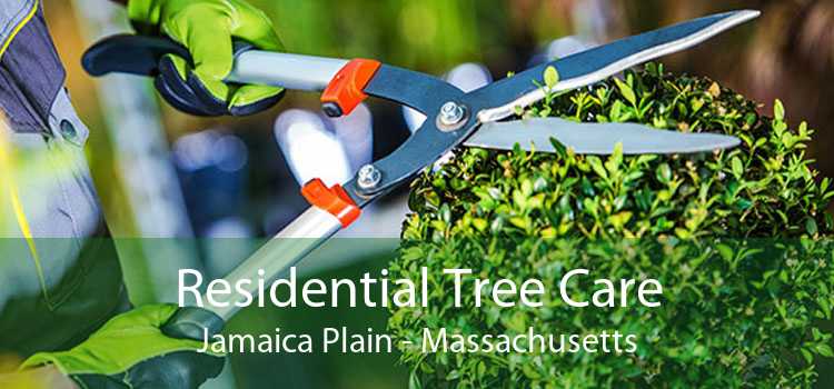Residential Tree Care Jamaica Plain - Massachusetts