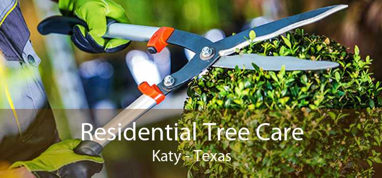 Residential Tree Care Katy - Texas