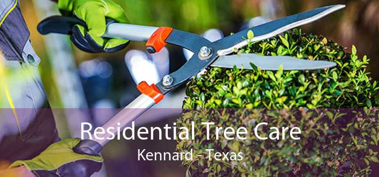 Residential Tree Care Kennard - Texas