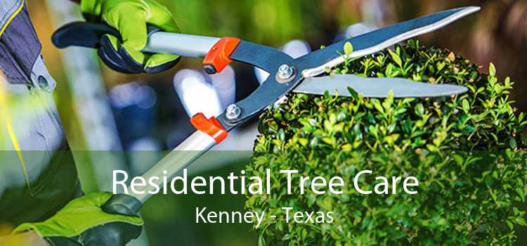 Residential Tree Care Kenney - Texas