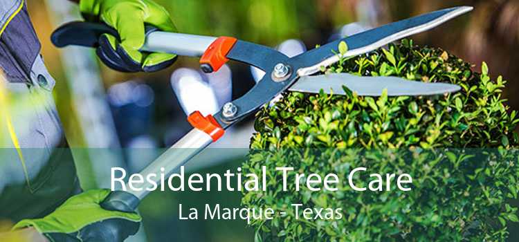 Residential Tree Care La Marque - Texas