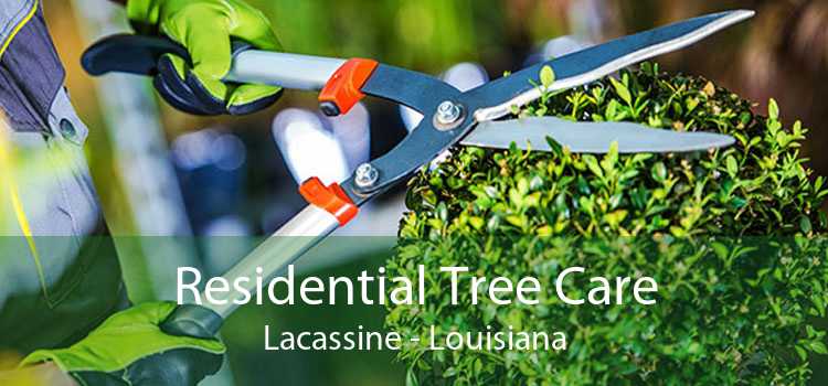 Residential Tree Care Lacassine - Louisiana