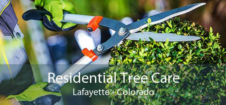 Residential Tree Care Lafayette - Colorado