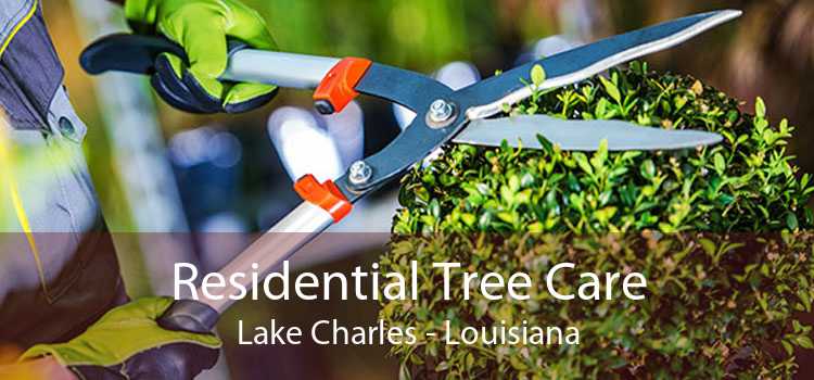 Residential Tree Care Lake Charles - Louisiana