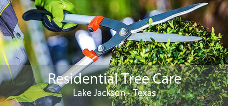 Residential Tree Care Lake Jackson - Texas