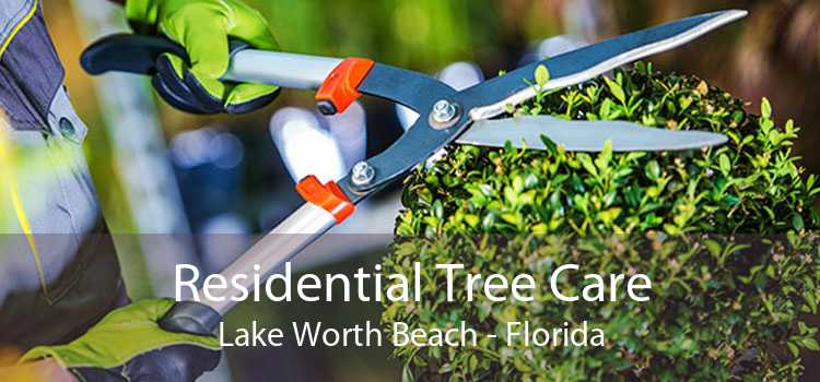 Residential Tree Care Lake Worth Beach - Florida