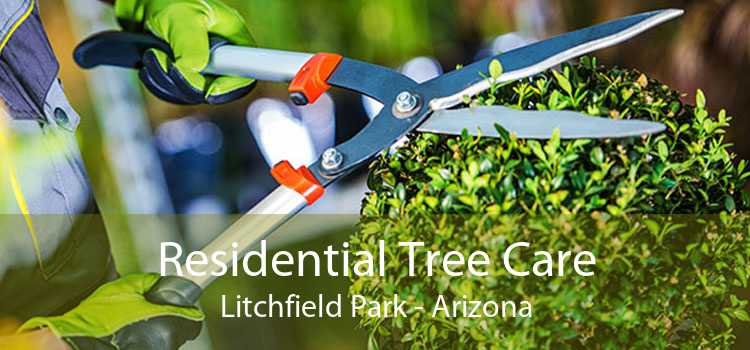 Residential Tree Care Litchfield Park - Arizona