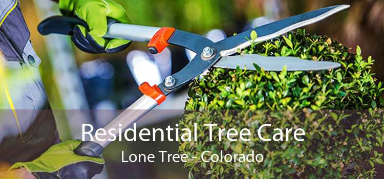 Residential Tree Care Lone Tree - Colorado