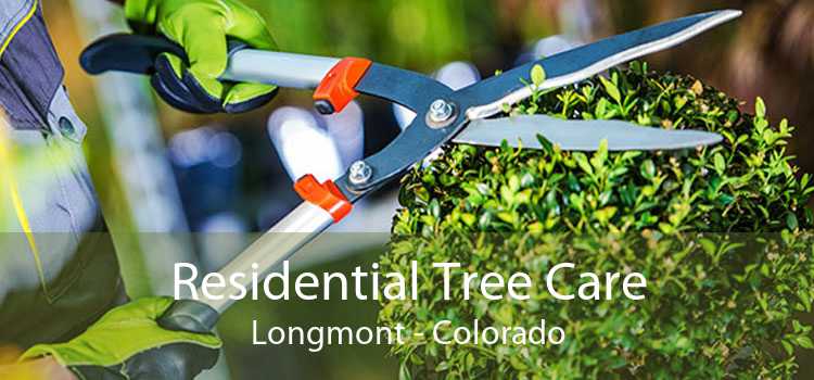Residential Tree Care Longmont - Colorado