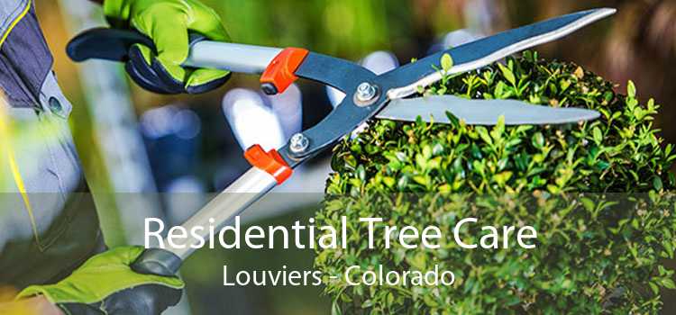 Residential Tree Care Louviers - Colorado
