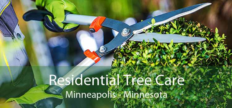 Residential Tree Care Minneapolis - Minnesota