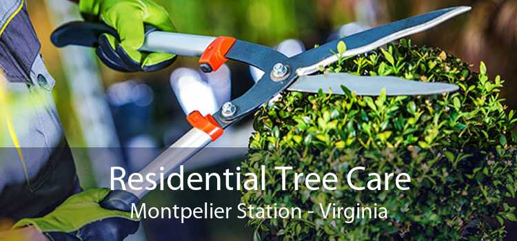 Residential Tree Care Montpelier Station - Virginia
